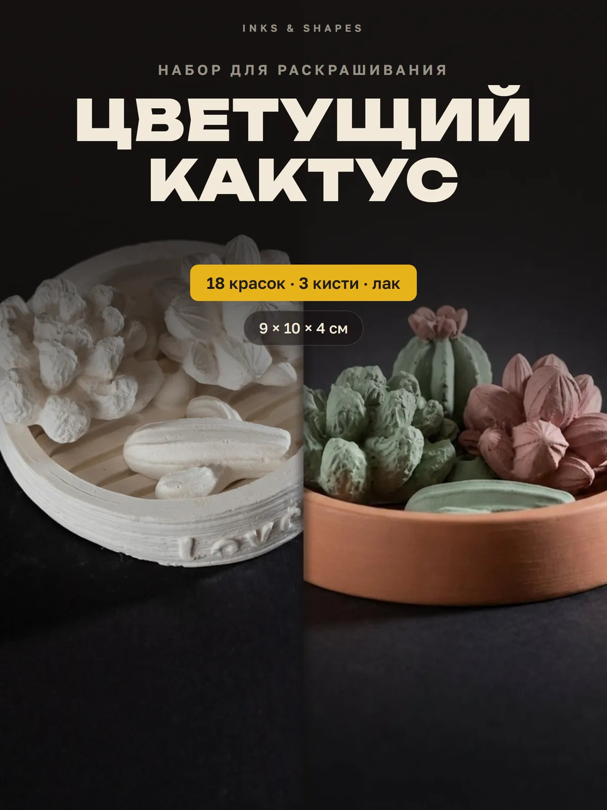Цветущий кактус: Как приедет — и как может получиться