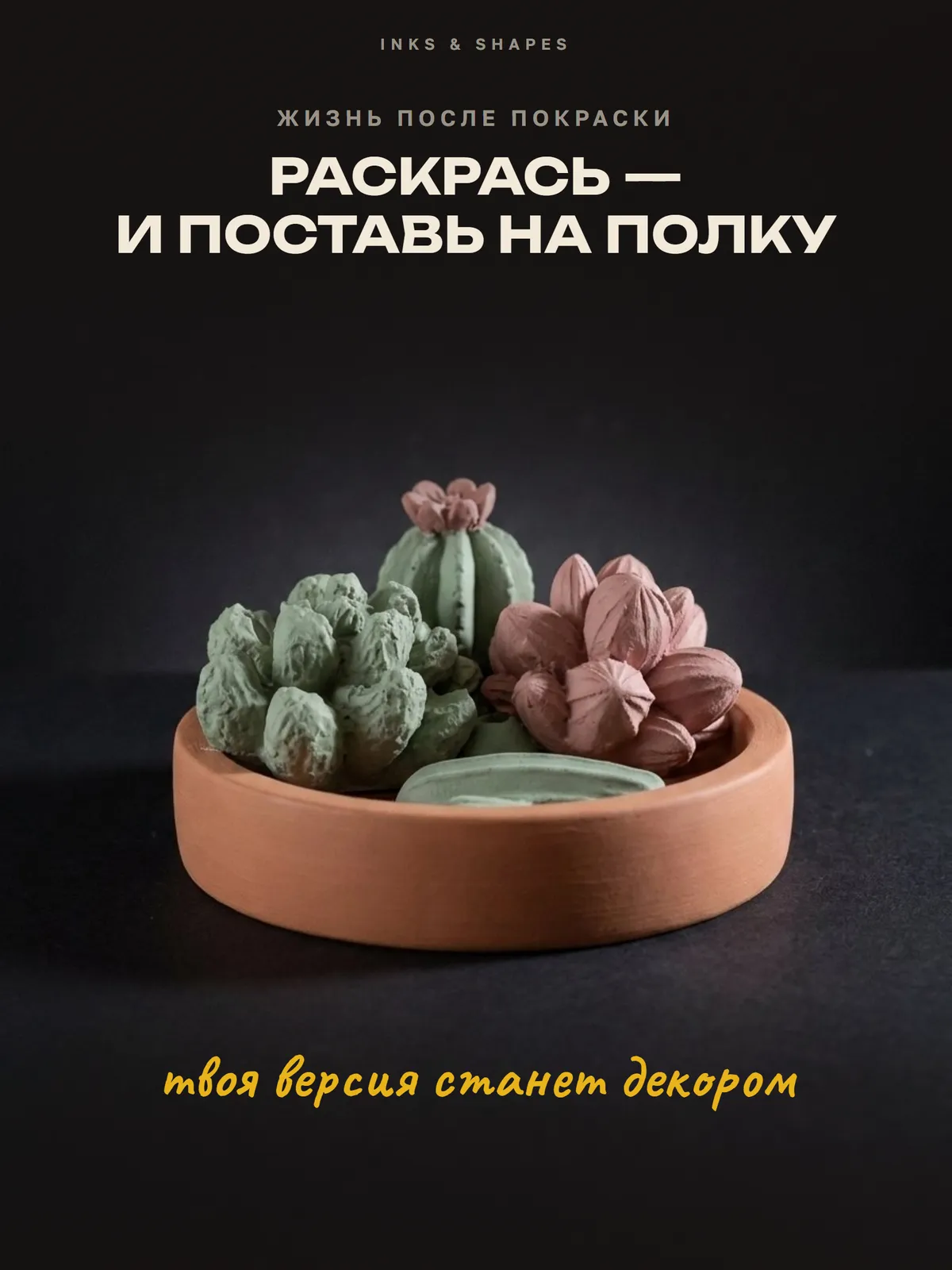 Цветущий кактус: На полке